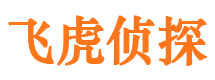 新疆侦探